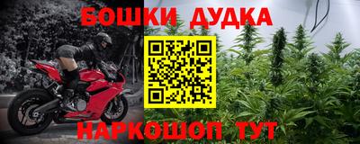 скорость Кингисепп