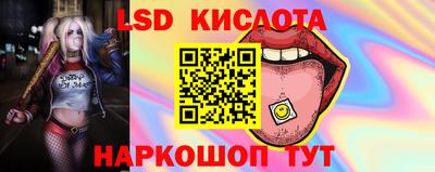 скорость Кингисепп