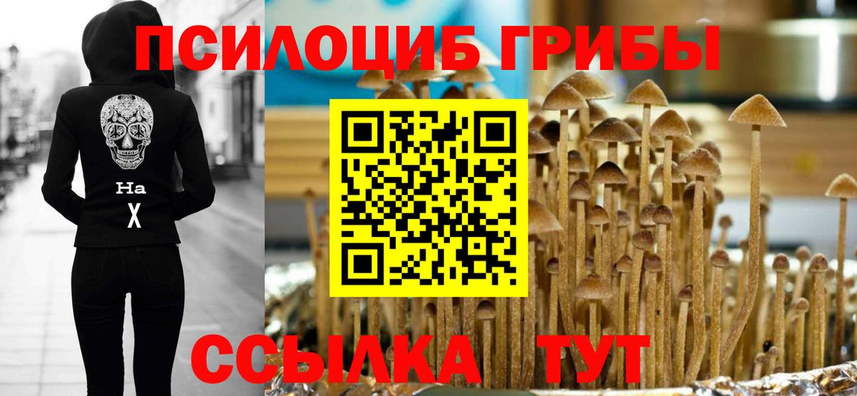 купить   Вход с VPN  Псилоцибиновые грибы прущие грибы  Ковров  Галлюциногенные грибы мицелий 